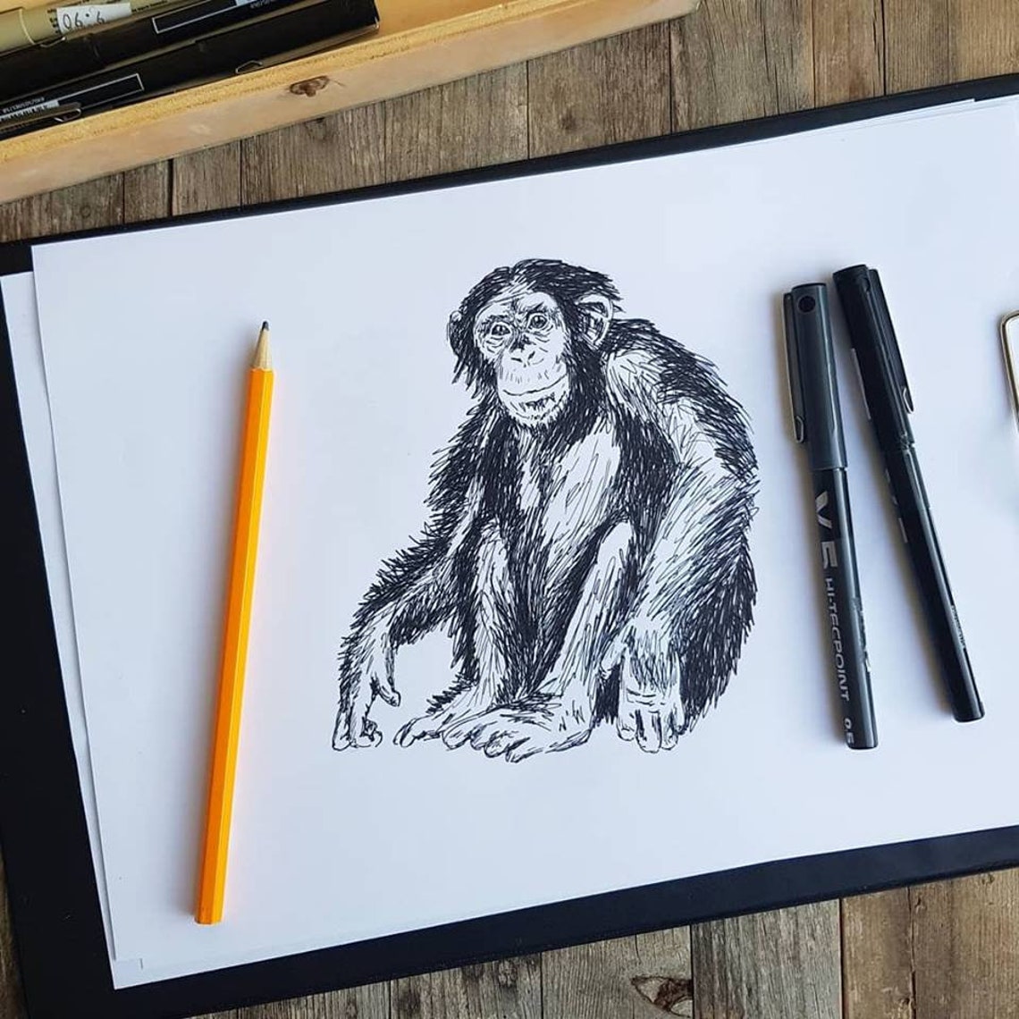 Instant Art Nursery Prints Animal Art Prints Black And White Nature Prints Sketch Realistic Art Chimpanzee - Image 3