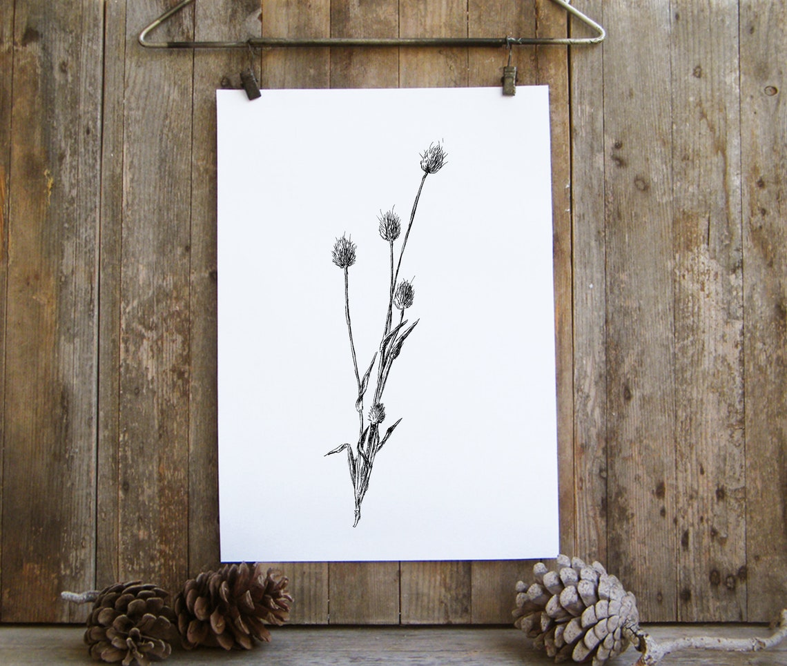 Wild Thistle Flowering Branch Minimal Black Ink Sketch Art Poster