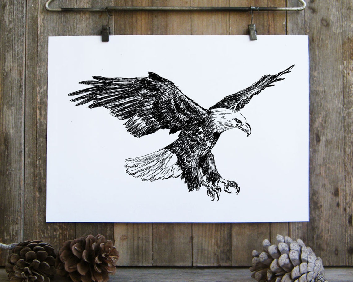 Bald Eagle in Flight Ink Sketch Majestic American Raptor Print - Image 3