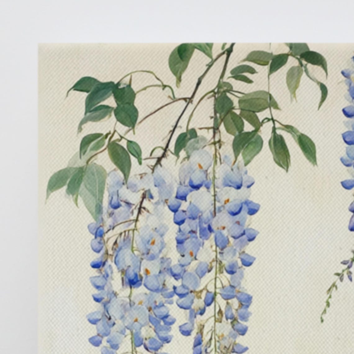 Wisteria Flower Wall Art Painting Print Print Vine Wall Art Flower Wall Art Large Painting Wall Art Wisteria Plant Art - Image 3
