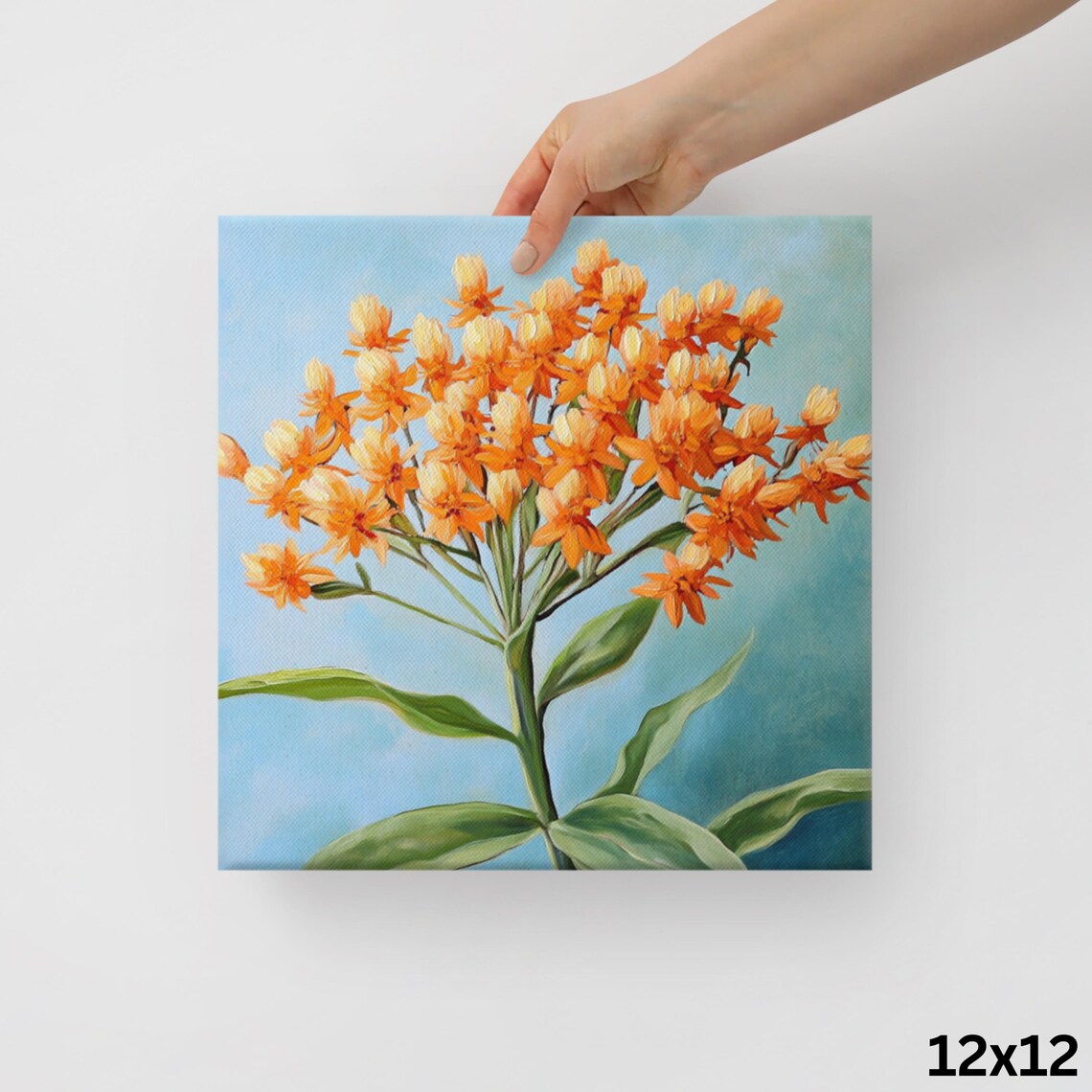 Orange Butterfly Weed Flower Cluster Blue Botanical Floral Art Poster - Image 2