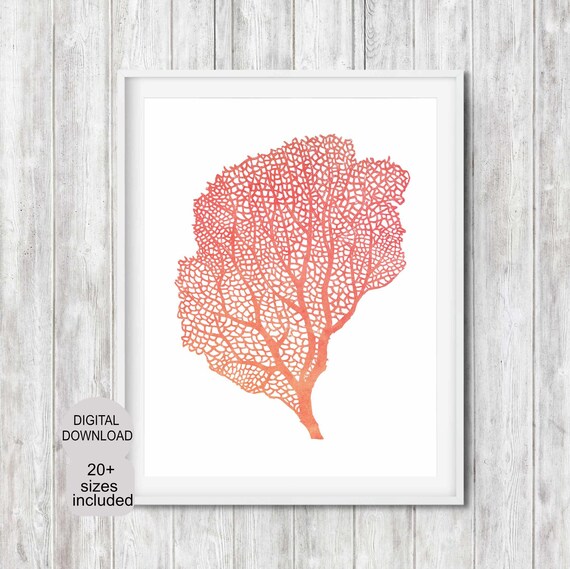 Hamptons Style Sea Fan Print Nautical Decor For Bathroom Girl Nursery Office Coastal Wall Art Beach House Coral Ocean Plant