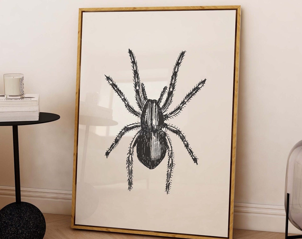 Vintage Spider Engraving Large Insect Illustration Halloween Poster