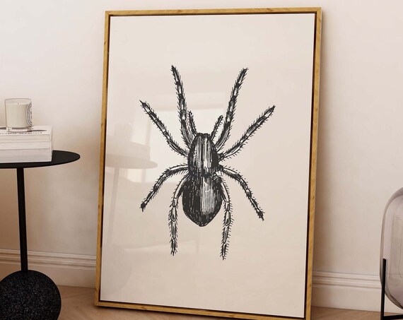 Vintage Spider Engraving Large Insect Illustration Halloween Poster