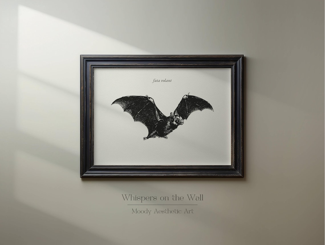 Fata Volant Vintage Bat Engraving Spooky Halloween Naturalist Poster - Image 7