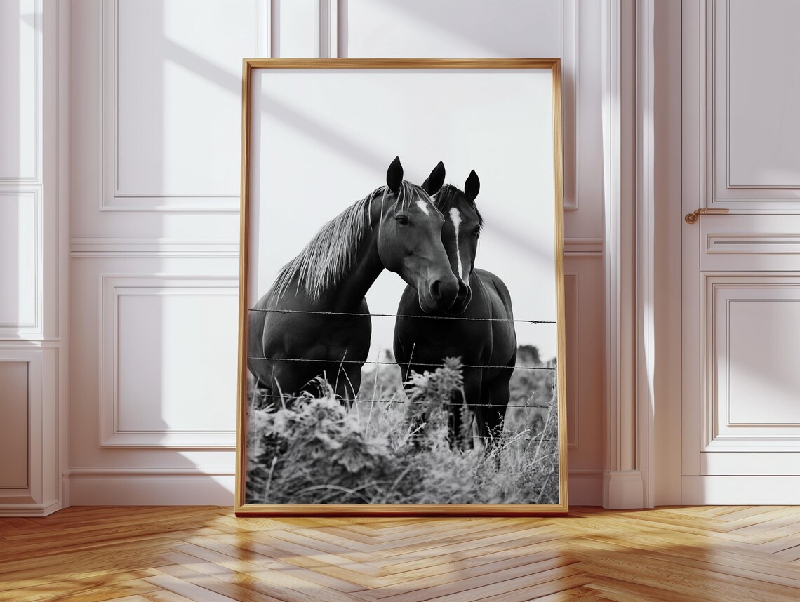 Pair Of Dark Horses Behind Wire Fence Black White Photo Poster