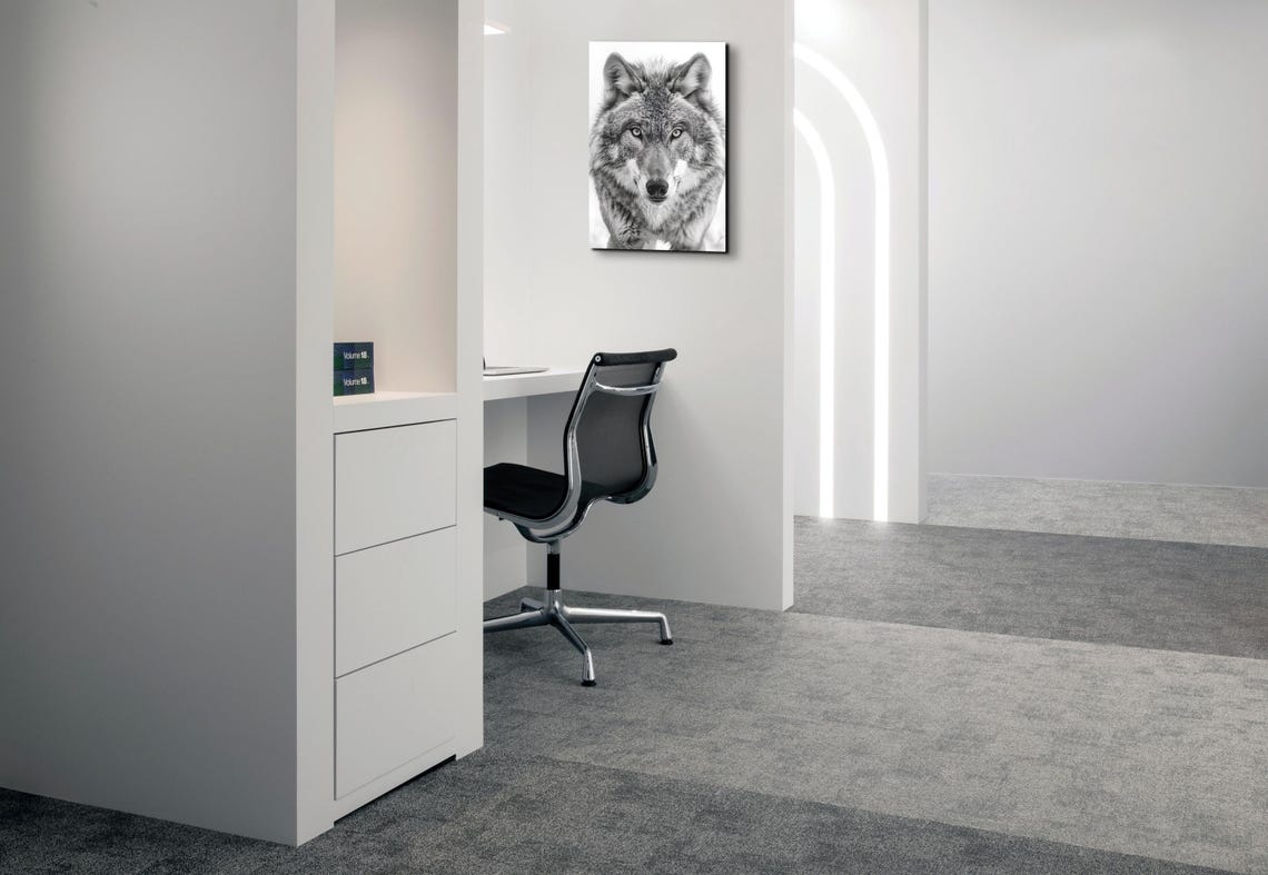 Majestic Wolf Staring Camera Black and White Nature Art Poster - Image 3
