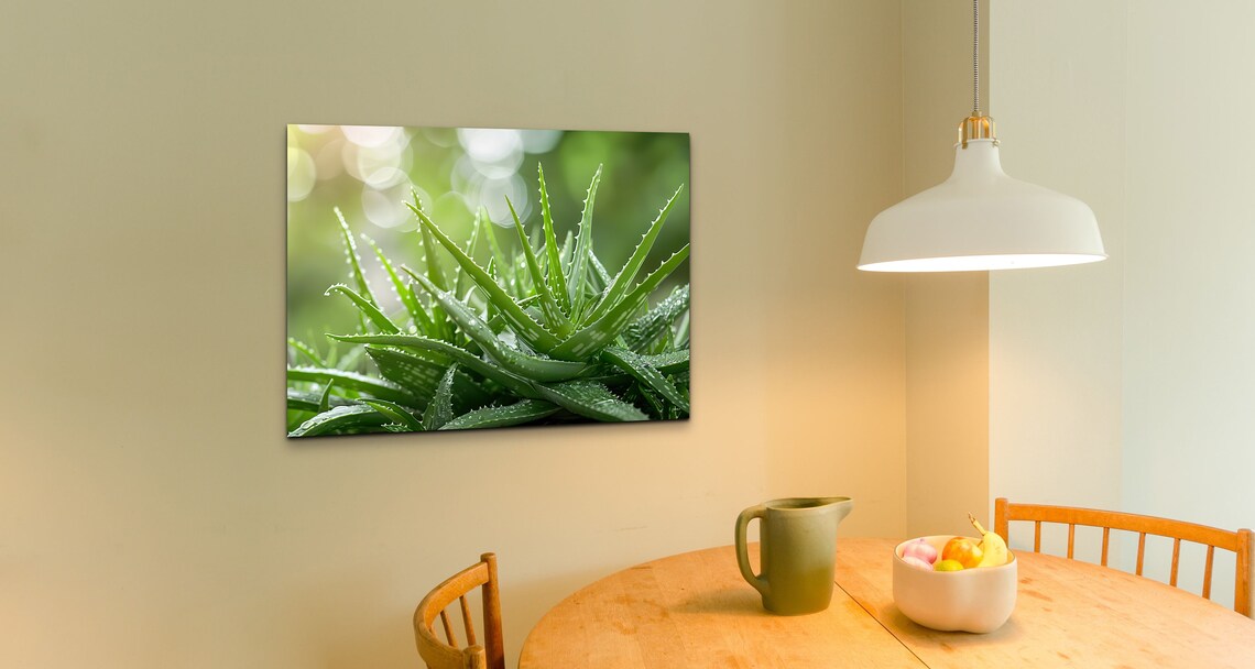 Aloe Vera Botanical Decor, Garden Room Art Print - Image 5