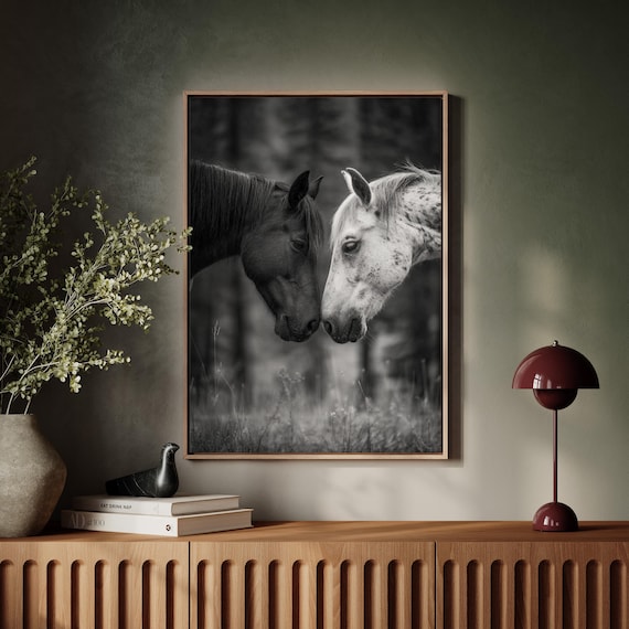 Two Horses Nose to Nose Bond Black and White Equine Art Poster