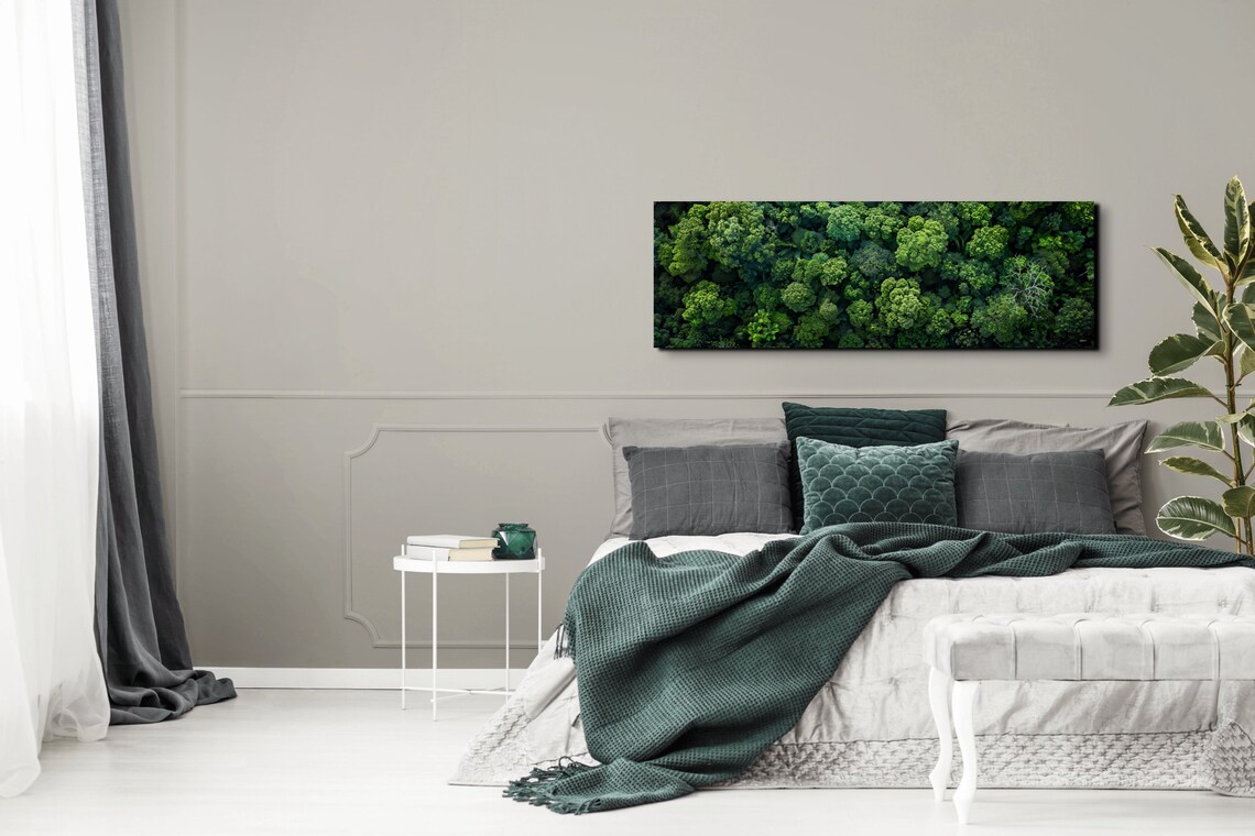 Aerial View Of The Forest, Nature Wilderness Decor - Image 7
