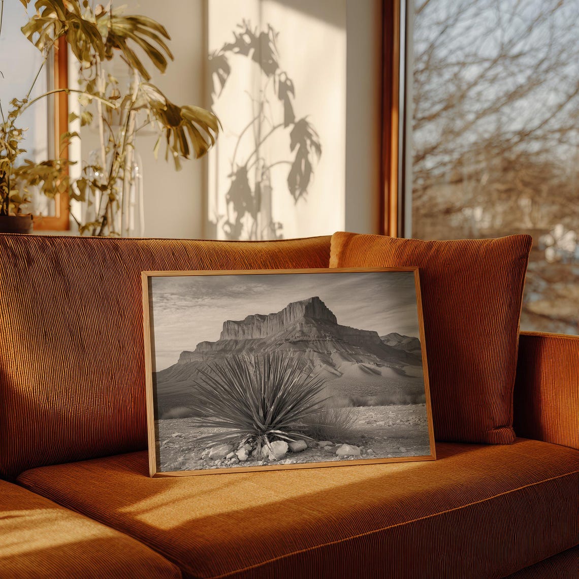 Desert Yucca Before Towering Mountain Cliffs