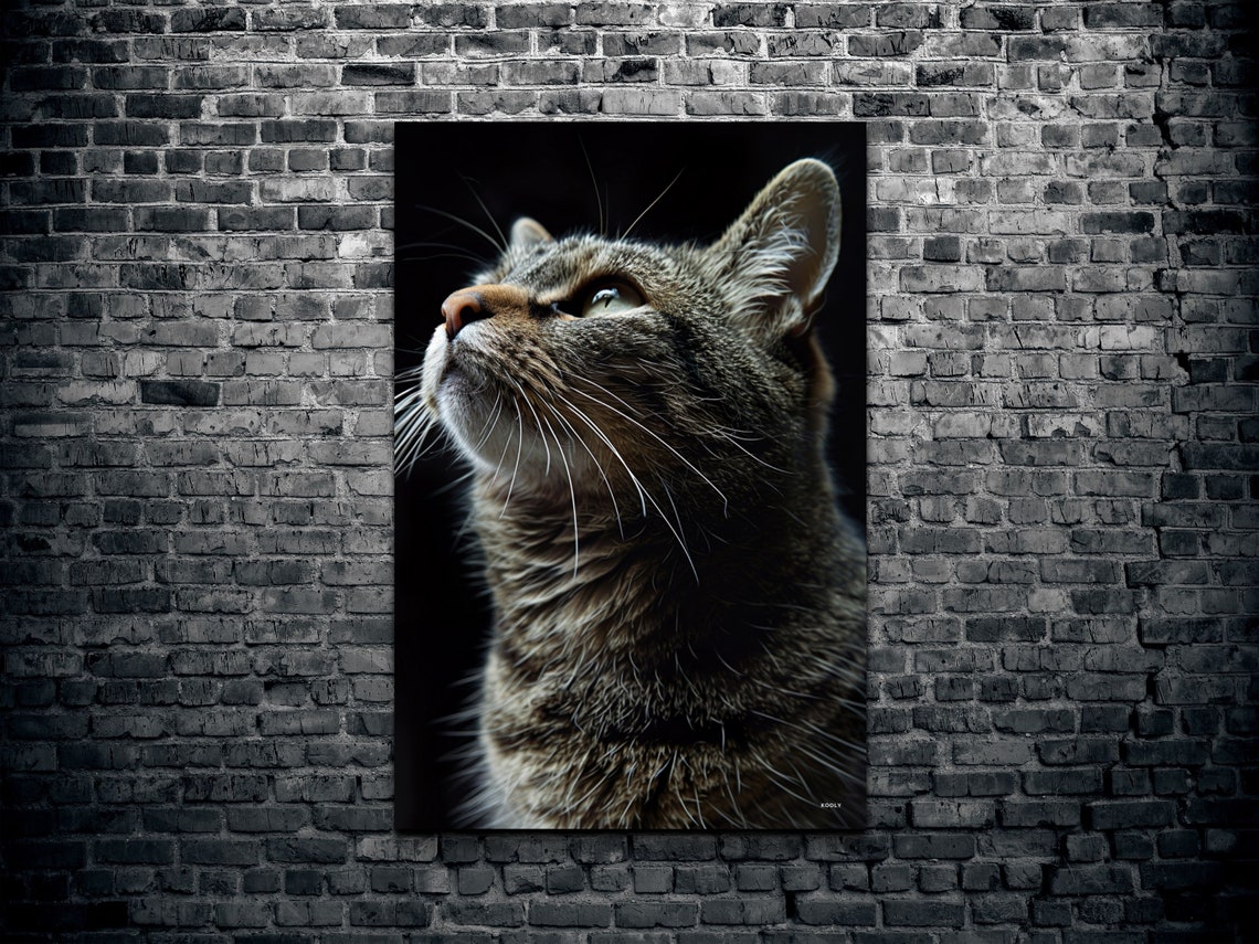 Tabby Cat Portrait Looking Up Dramatic Black Background Pet Poster - Image 2