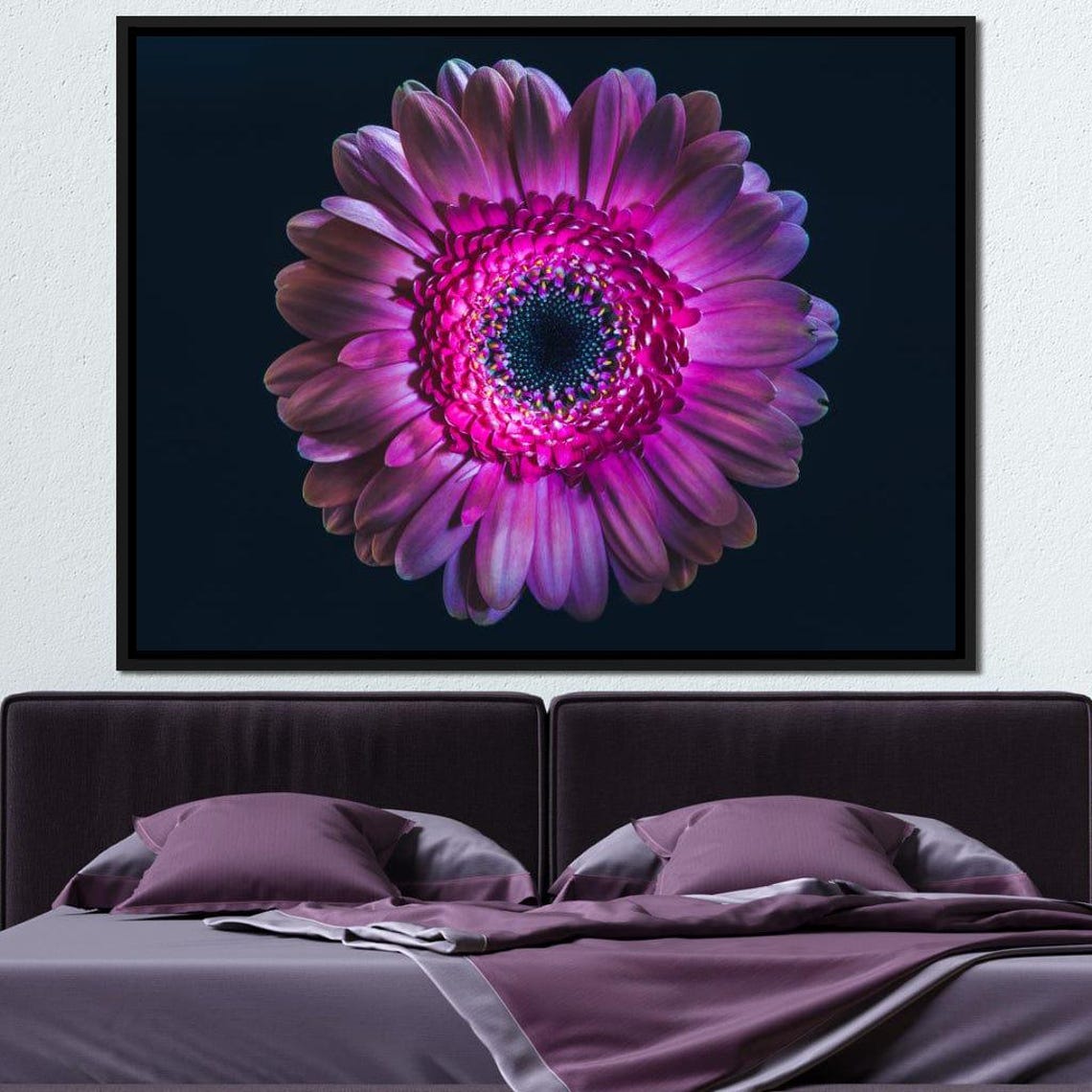 Magenta Gerbera Daisy Black Background Macro Flower Wall Art