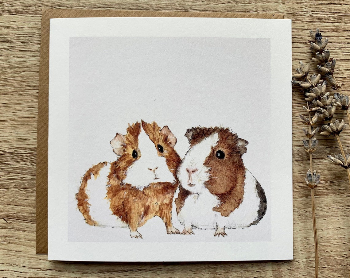 Guinea Pig Card Poster Print