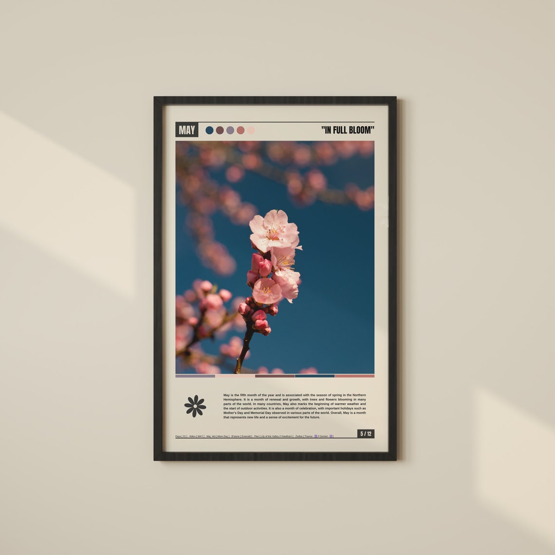 May Pink Cherry Blossoms In Full Bloom Delicate Floral Poster