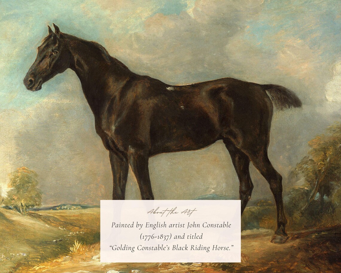 Vintage Black Riding Horse, Equestrian Art Print - Image 2
