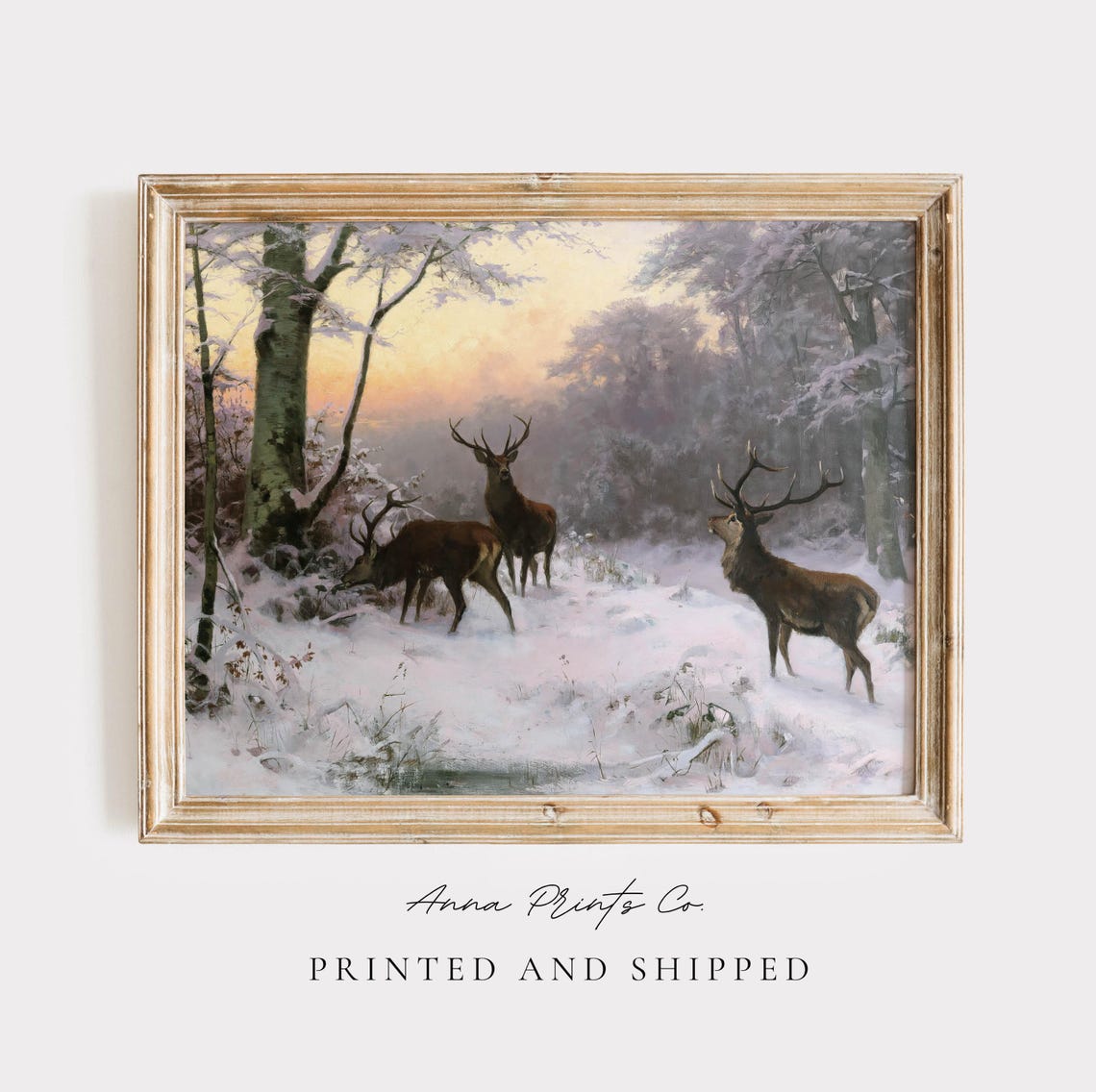 Red Deer Stags In A Snowy Forest At Dawn Antique Wildlife Print