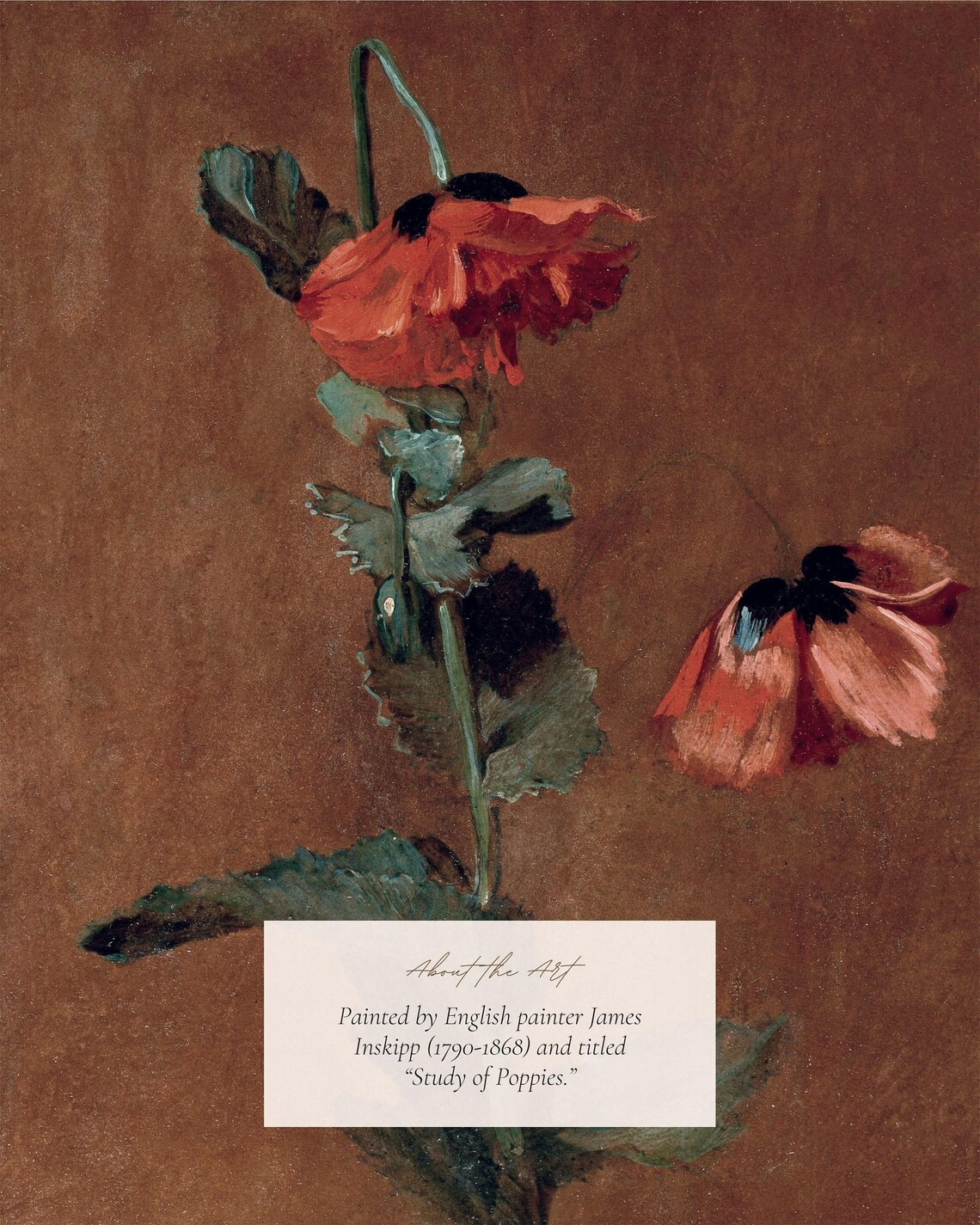 Poppy Flower Painting, Cottage Farmhouse Art Print - Image 2