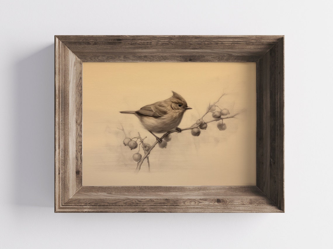 Charming Vintage Songbird Berry Branch Sketch Antique Bird Art Print - Image 2