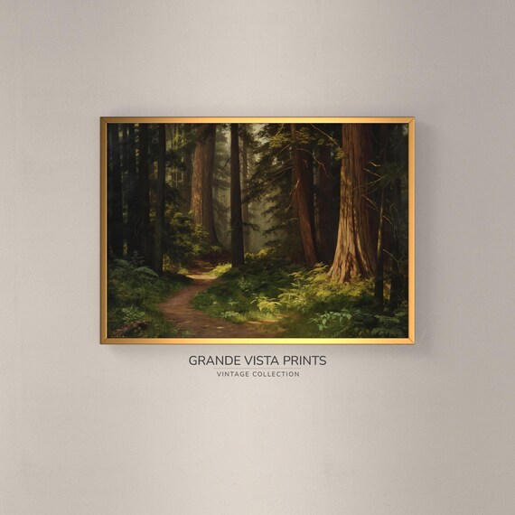 Redwood Forest Painting Wall Art Redwood Artwork Redwood Trees Art Print Redwood Forest Gv4370