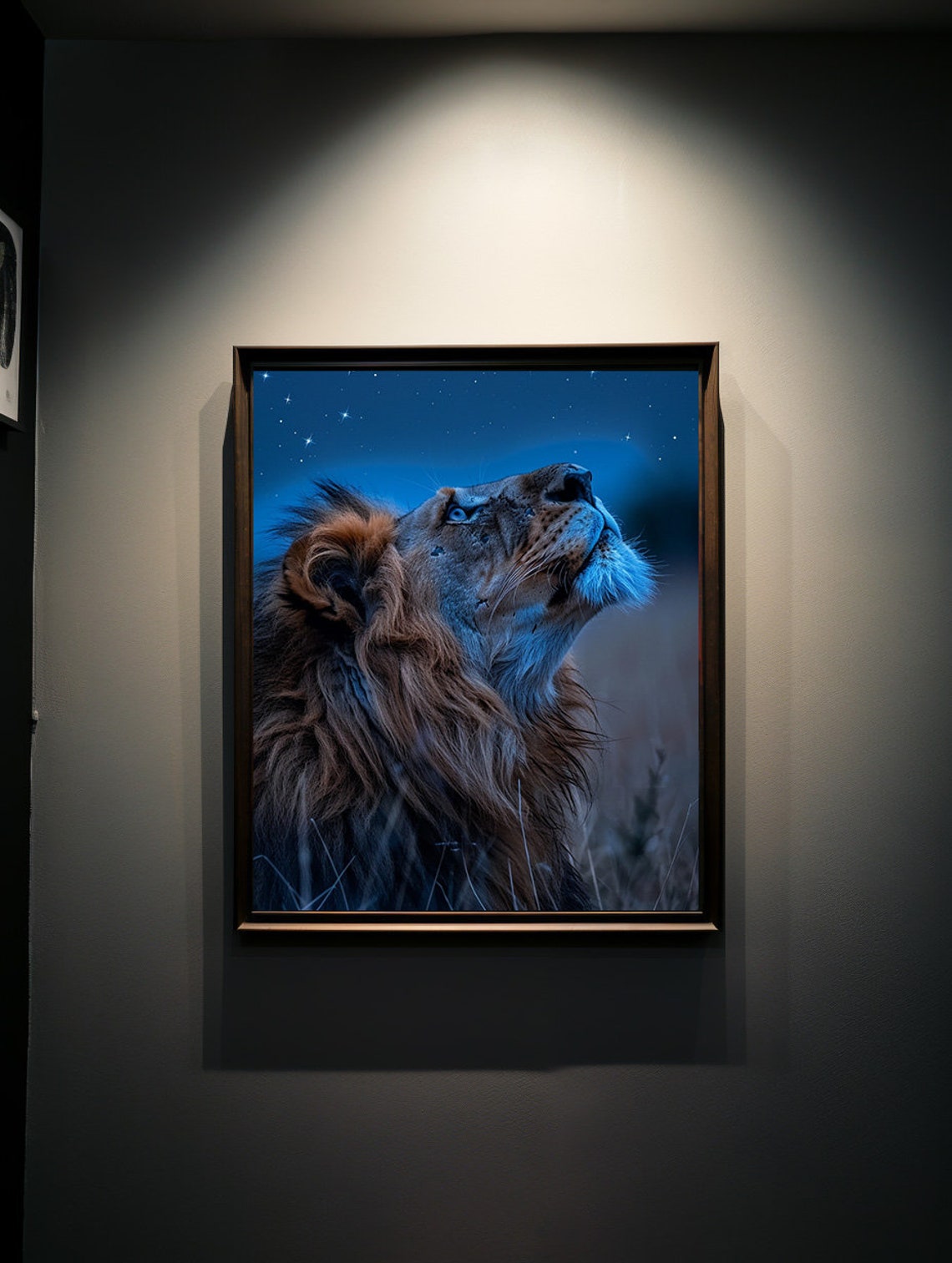 Lion Gazing Up at a Sparkling Starry Midnight Blue Night Sky Poster - Image 7