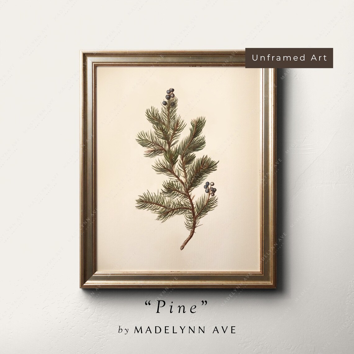 Pine Bough Christmas Botanical Winter Art Print