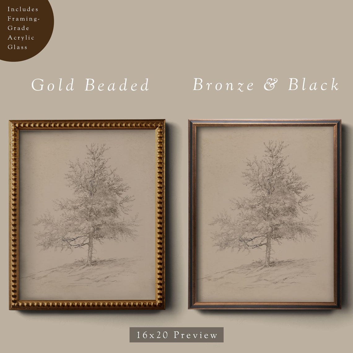 Vintage Pine Tree Sketch Neutral Botanical Art Vertical Poster - Image 4