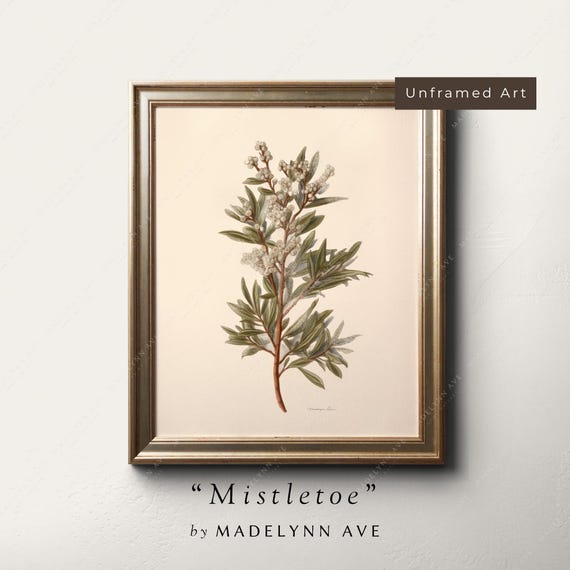 Mistletoe Vintage Minimalist Christmas Botanical Art Print
