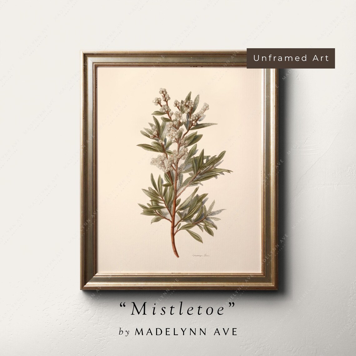 Mistletoe Vintage Minimalist Christmas Botanical Art Print