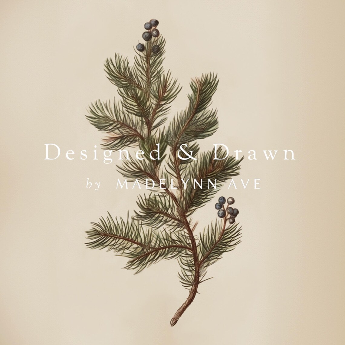 Pine Bough Christmas Botanical Winter Art Print - Image 6