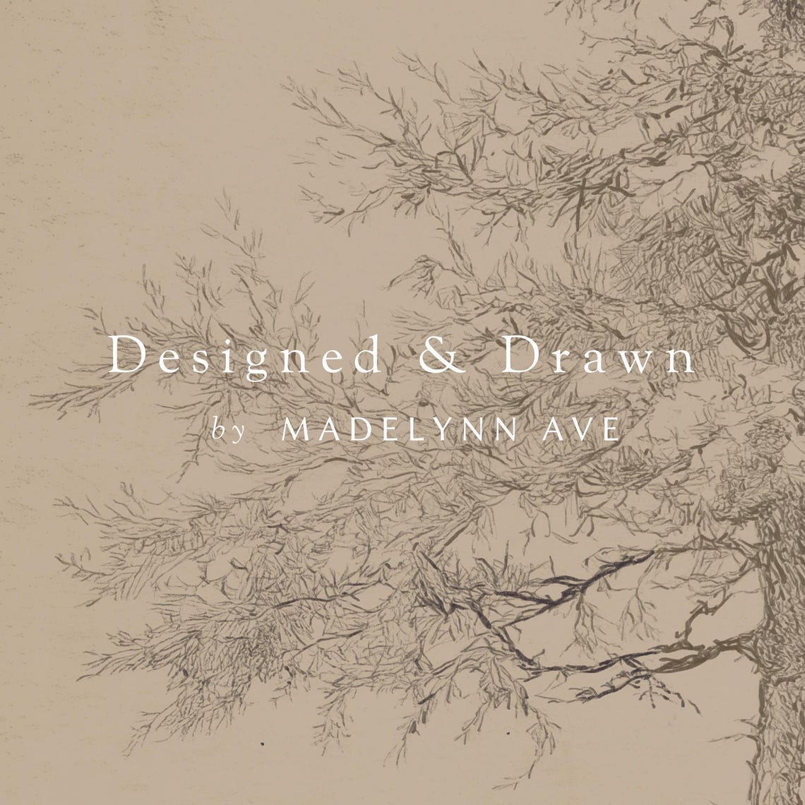 European Pine Study III Pencil Sketch Tree Drawing Art Poster - Image 6