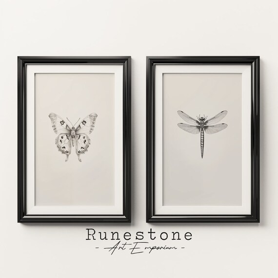 Set Of 2 Insect Sketches Nature Wall Art Mid Century Wildlife Portrait Pencil Drawing Home Decor Neutral Print