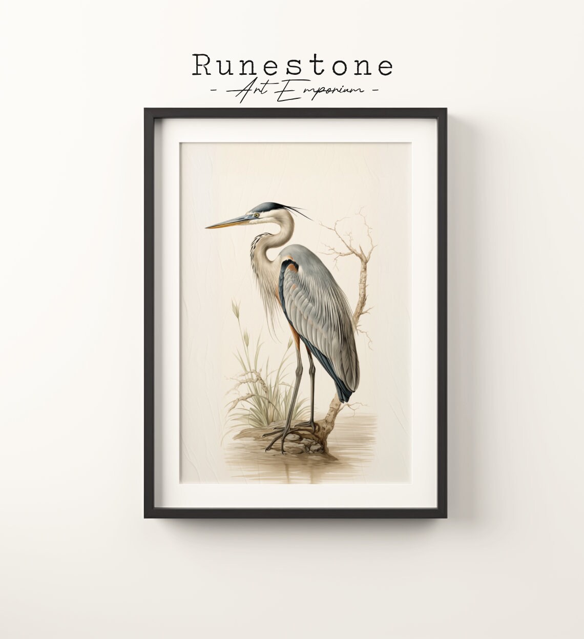 Vintage Heron Bird Sketch, Boho Natural History Print