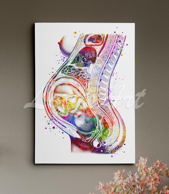 Pregnancy Anatomy Wall Art Watercolor Print New Mum Personalised Gift