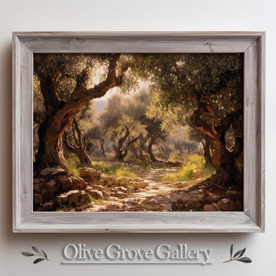 Serene Mediterranean Olive Grove Trees Pathway Oil Painting Tranquil Landscape Art Sunlit Trees And Rustic Nature Scenery Print