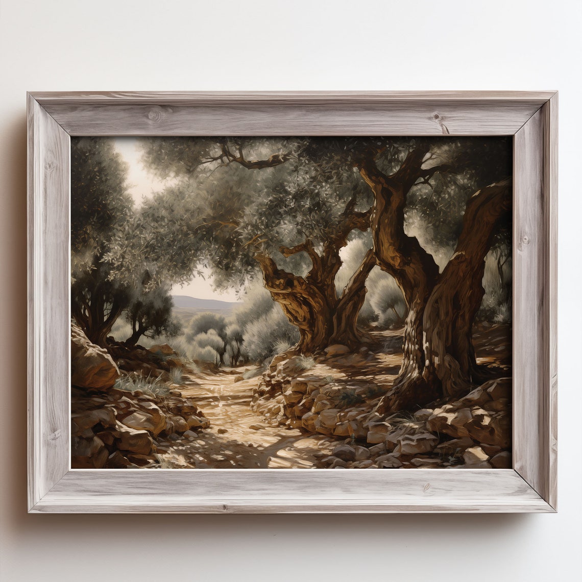 Ancient Olive Grove Painting Rocky Path Gnarled Trees Sunlight Poster