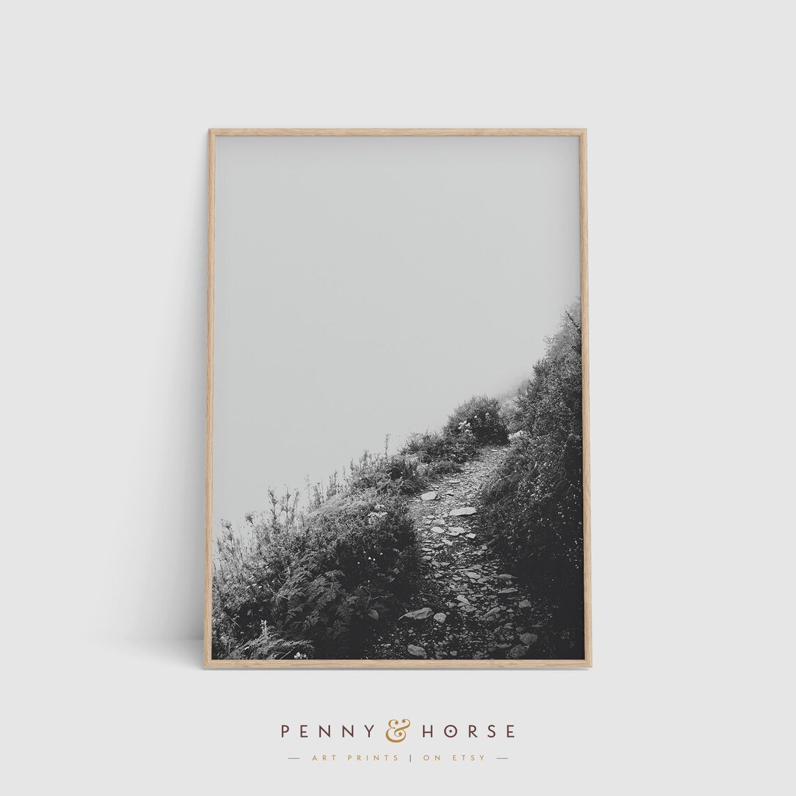 Mountain Path Print Serene Wall Art Photography Tranquility Wall Decor Path Decor Art Black And White