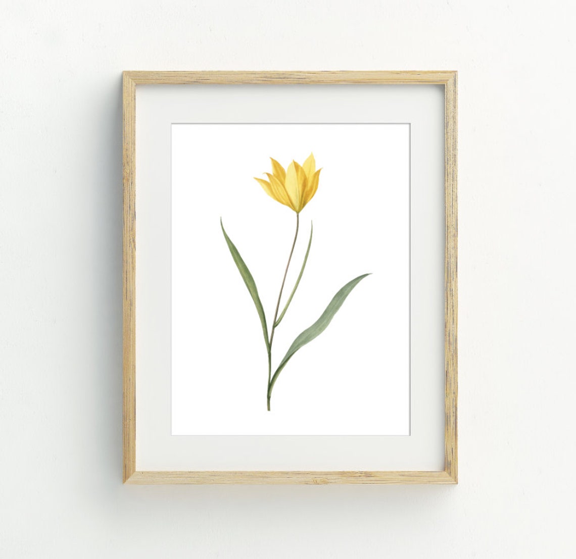 Yellow Tulip Watercolor Spring Flower Minimalist Botanical Wall Art