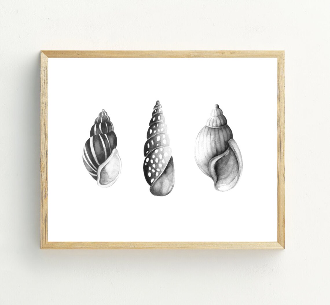 Three Grayscale Seashells Watercolor Coastal Beach Nautical Wall Art Print - Image 2