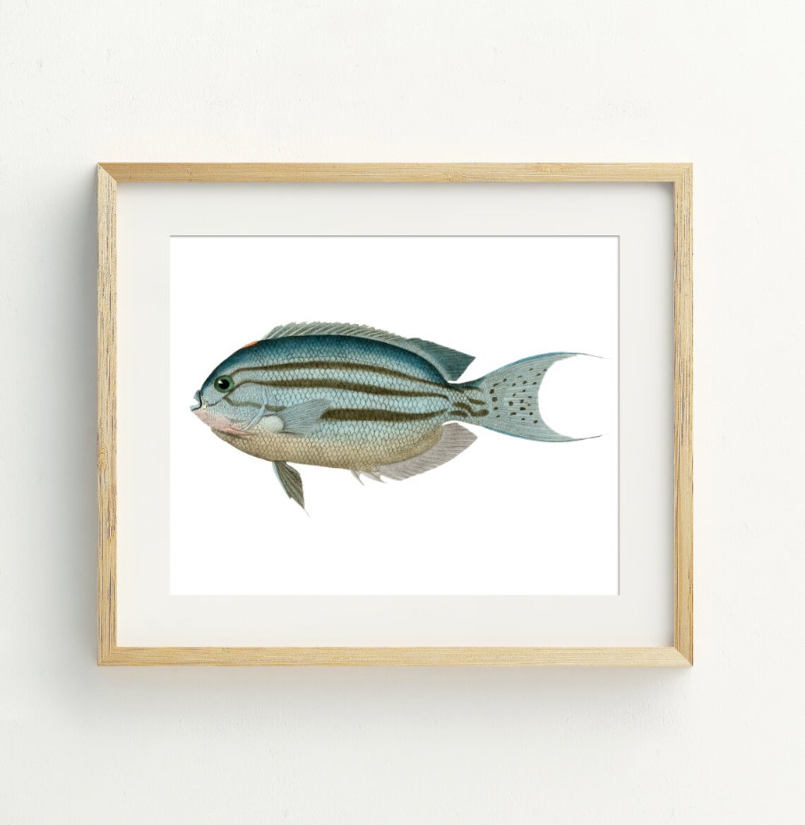 Fish Beach Decor Coastal Nautical Art Print