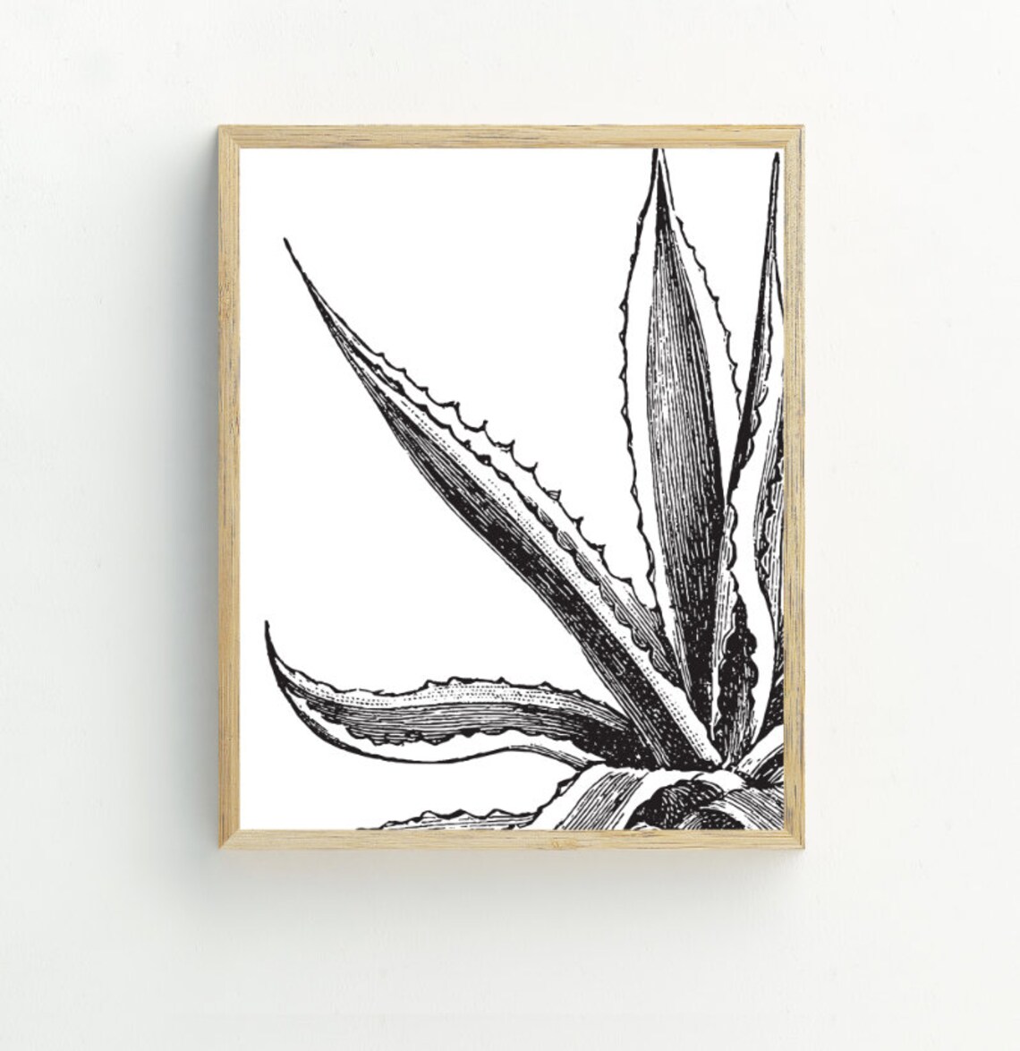 Succulent Art Print, Botanical Modern Wall Art - Image 2