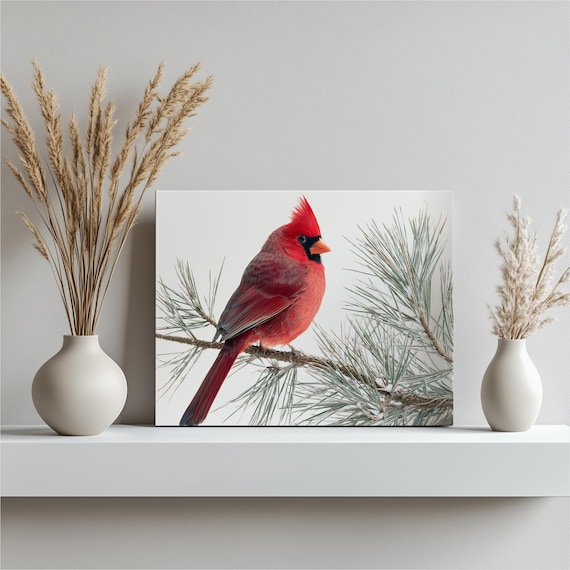 Red Cardinal on Snowy Pine Branch Winter Bird Portrait Nature Art Poster