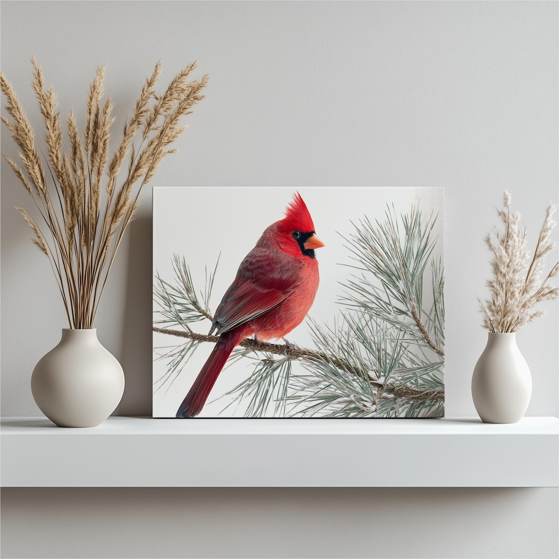 Red Cardinal on Snowy Pine Branch Winter Bird Portrait Nature Art Poster