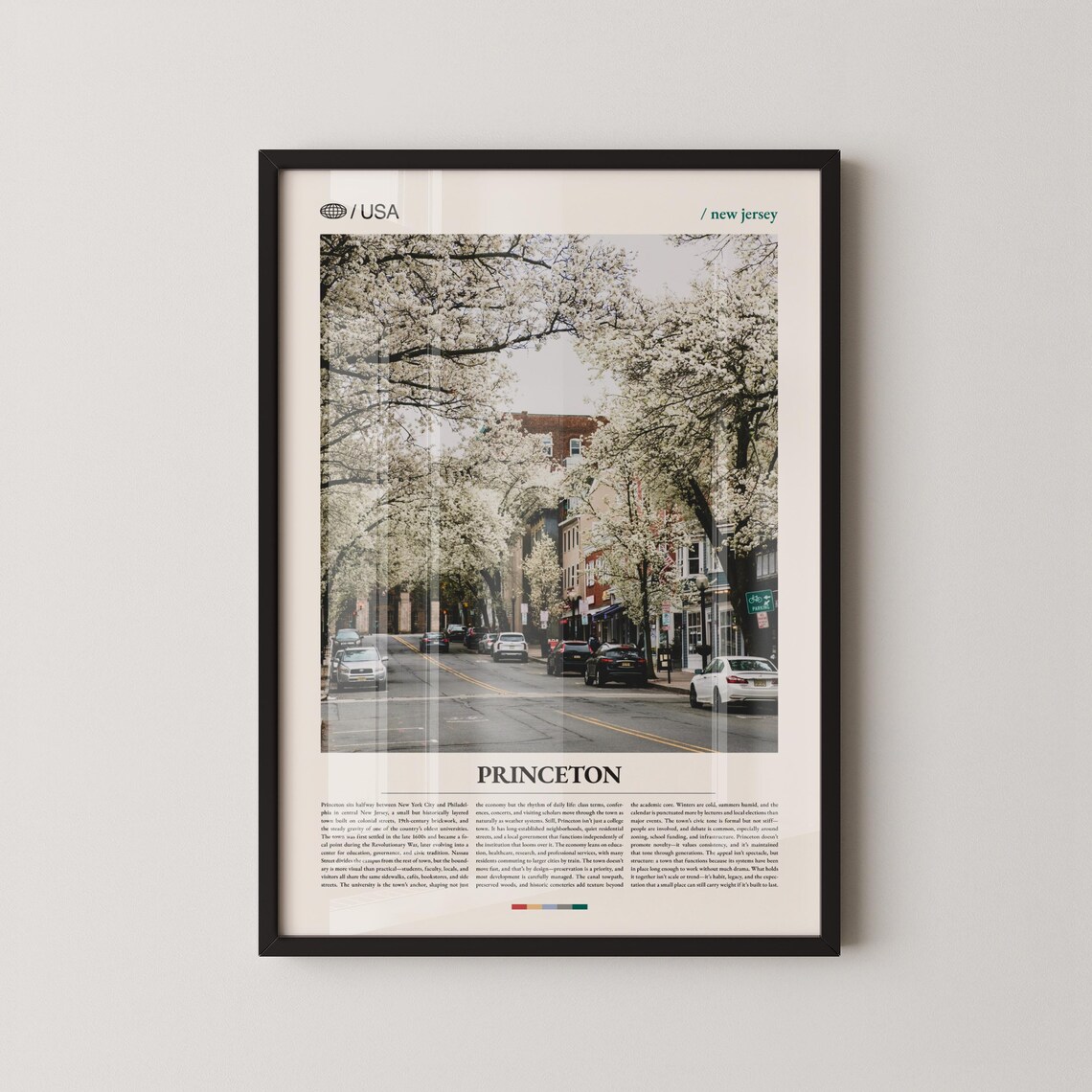Princeton New Jersey Cherry Blossom Street Scene Photo Poster