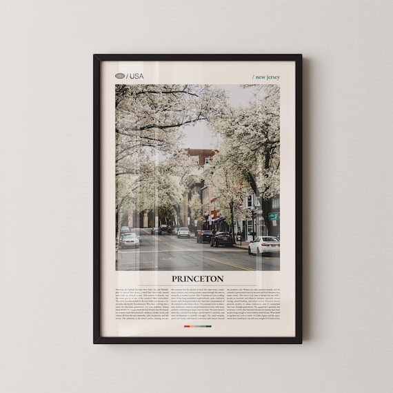 Princeton New Jersey Cherry Blossom Street Scene Photo Poster