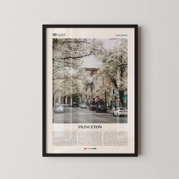 Princeton Print New Jersey Wall Art Poster Historic Town Photo East Coast Decor Scenic Urban Landscape