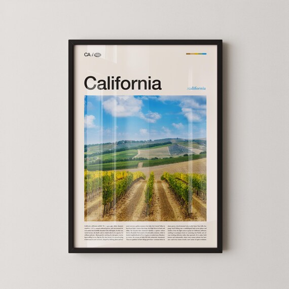 California Vineyard Rows Under Bright Blue Sky Photo Travel Poster