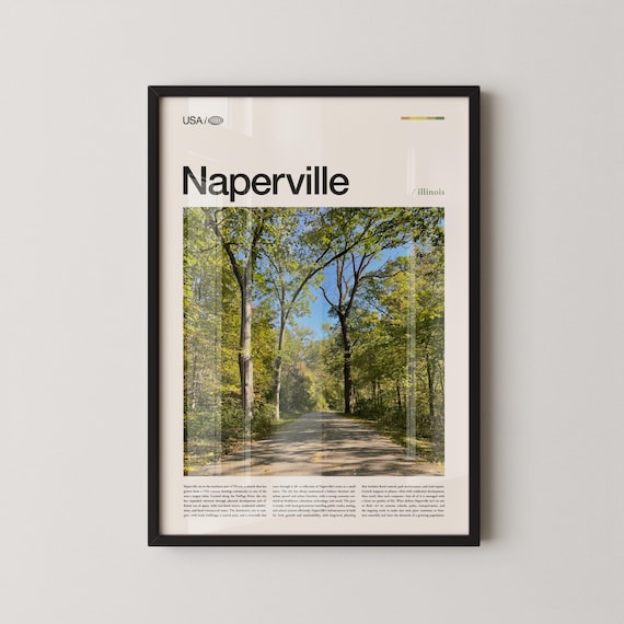 Naperville Illinois Sunlit Tree-Lined Path Photo Travel Poster