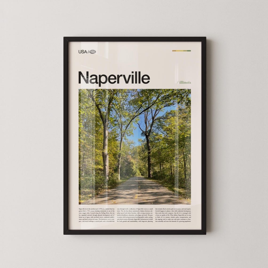 Naperville Illinois Sunlit Tree-Lined Path Photo Travel Poster