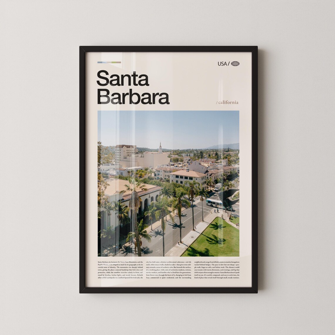 Santa Barbara Aerial Street View With Palm Trees Photo Poster